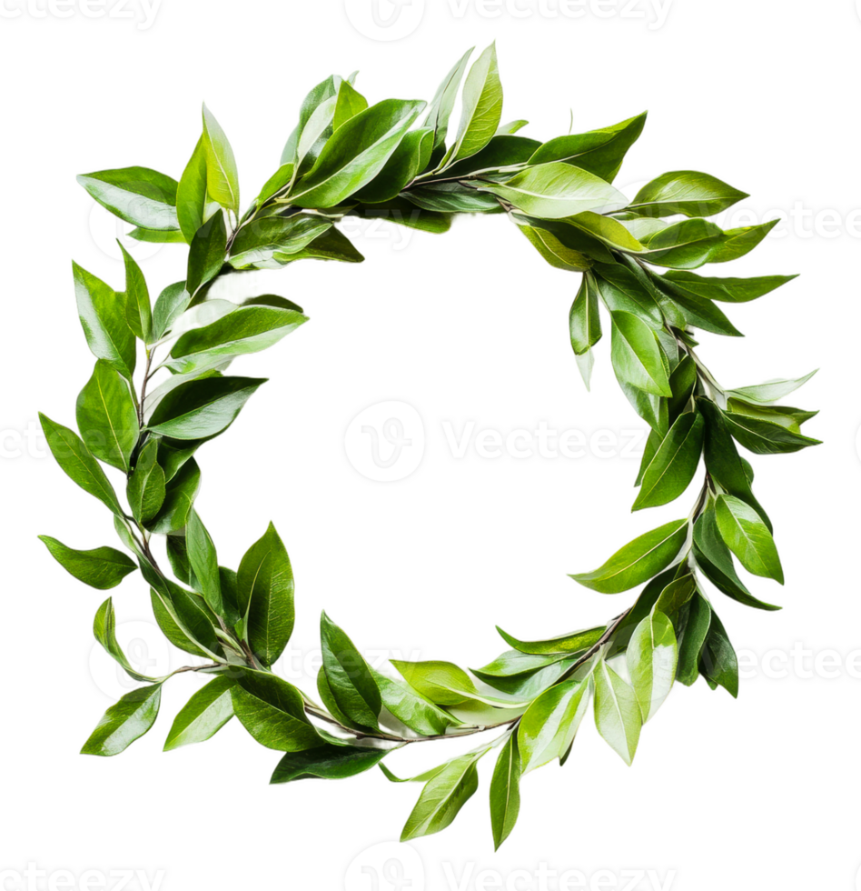 Fresh green leaf wreath for home decoration isolated on transparent background png