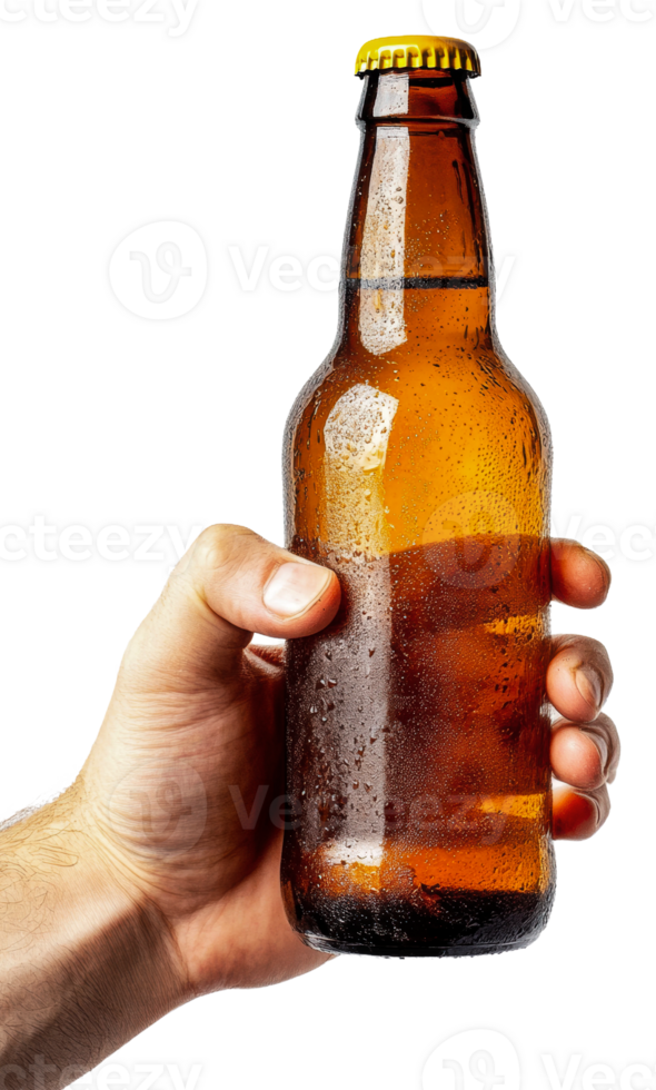 Person holding a frosty amber beer bottle indoors isolated on transparent background png