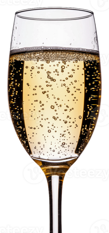 Sparkling beverage served in elegant glassware isolated on transparent background png