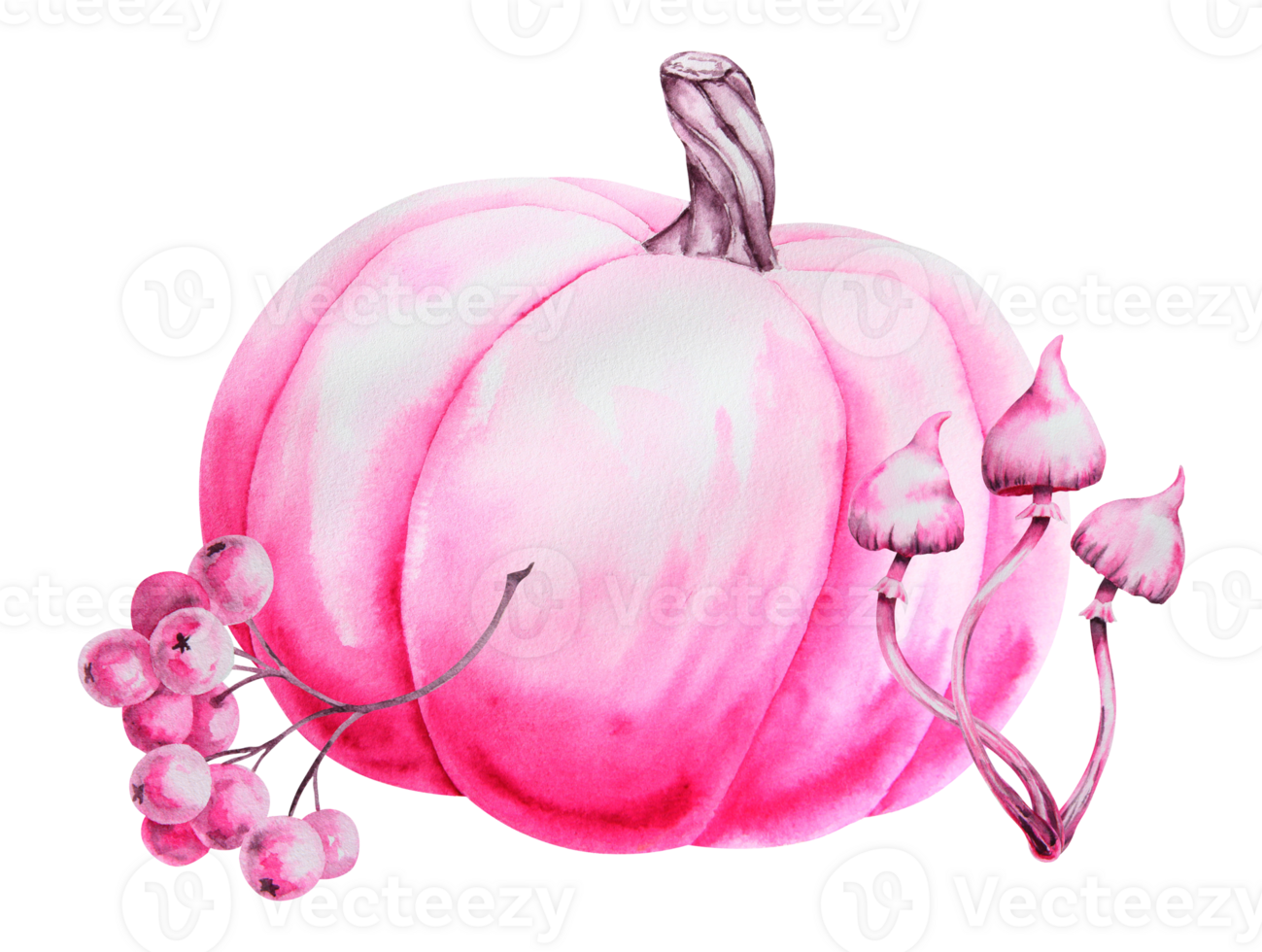 Pink pumpkin, squash, berries and poisonous mushrooms. Cut out isolated autumn vegetable clipart. Botanical realistic hand drawn watercolor painting. Halloween design element. Suitable for prints png