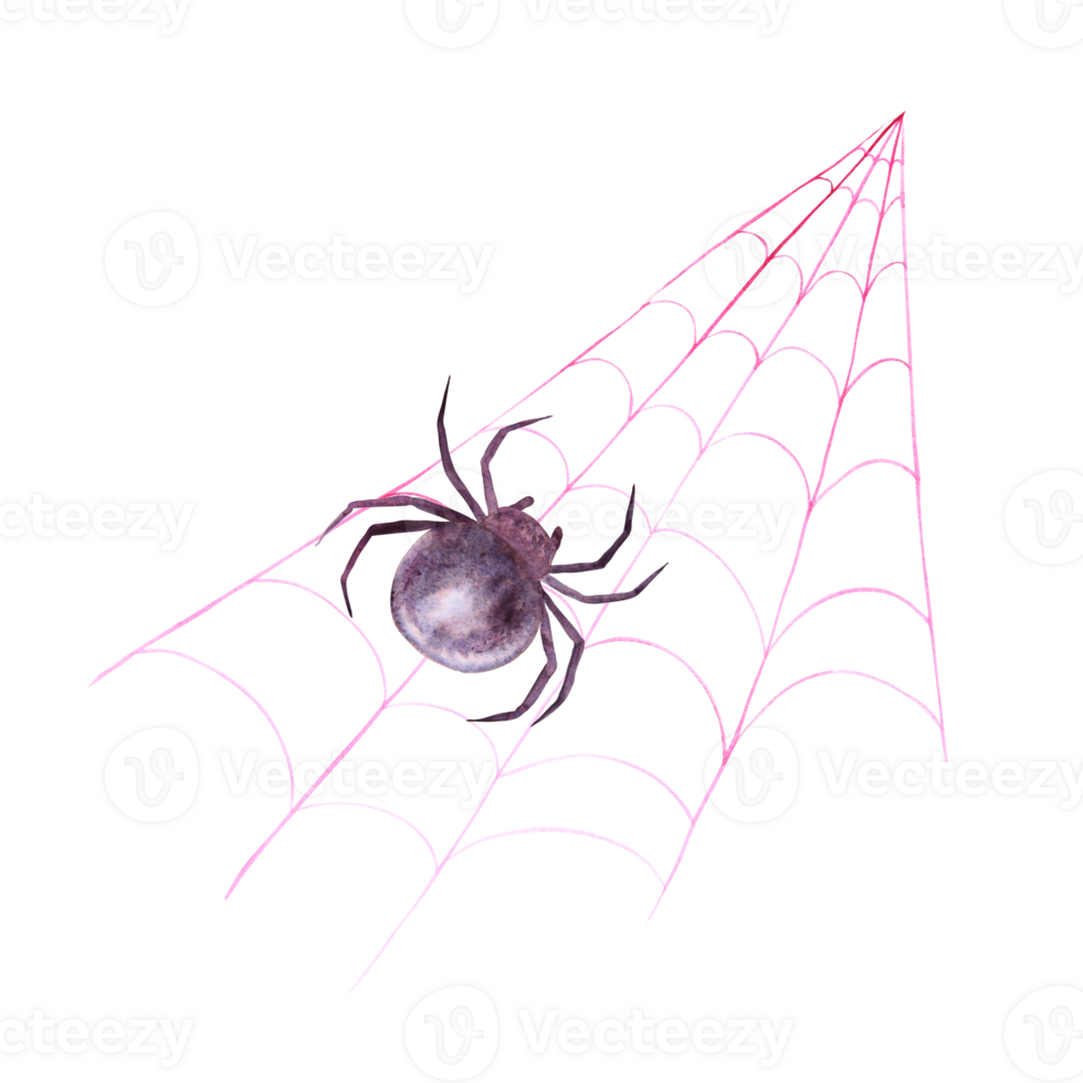 Black spider on web. Monochrome drawing of dangerous arthropod arachnid, insect. Watercolor hand drawn cutout isolated clipart for halloween, horror illustrations. Karakurt, black widow, Latrodectus png