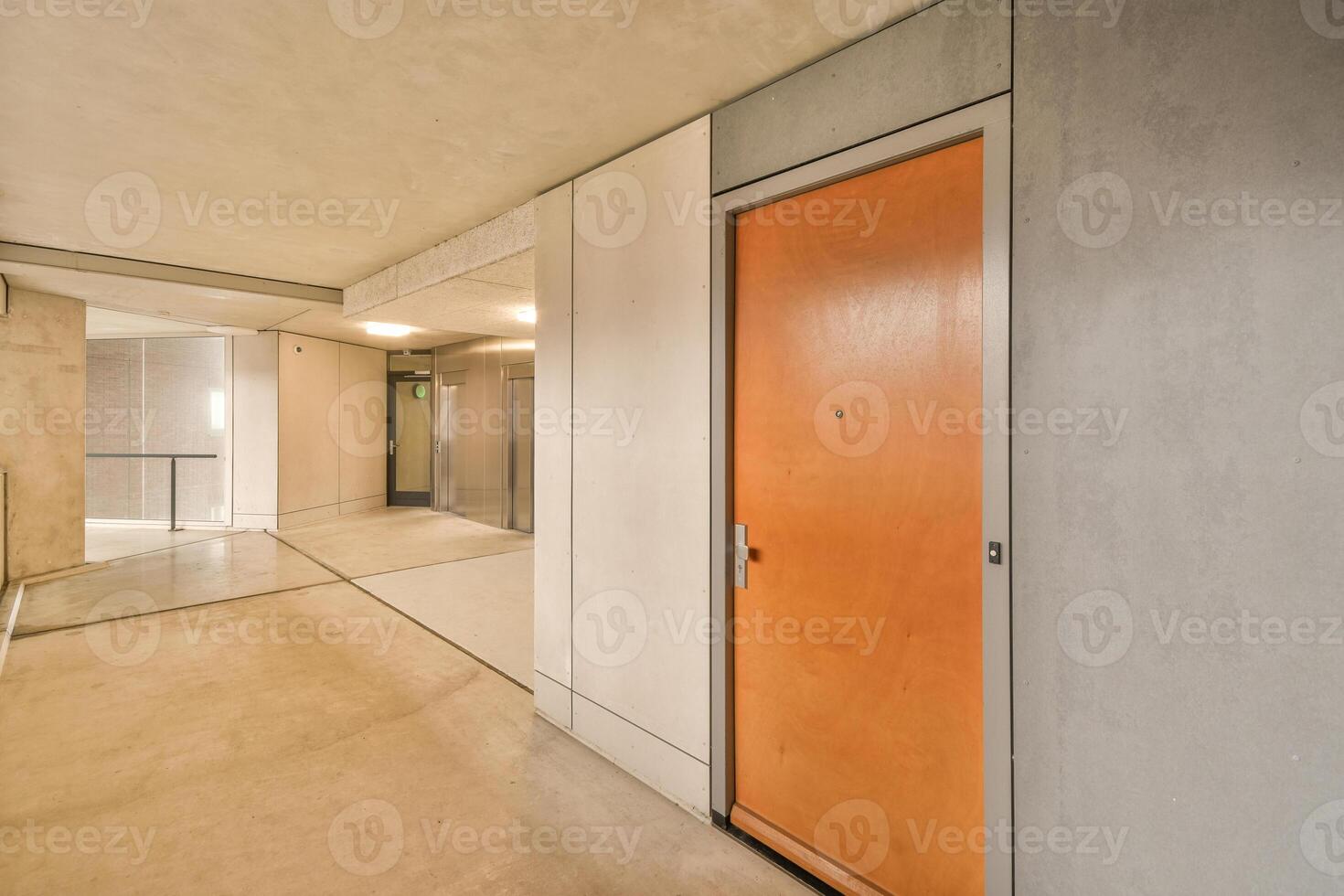 A hallway with a door and a mirror photo