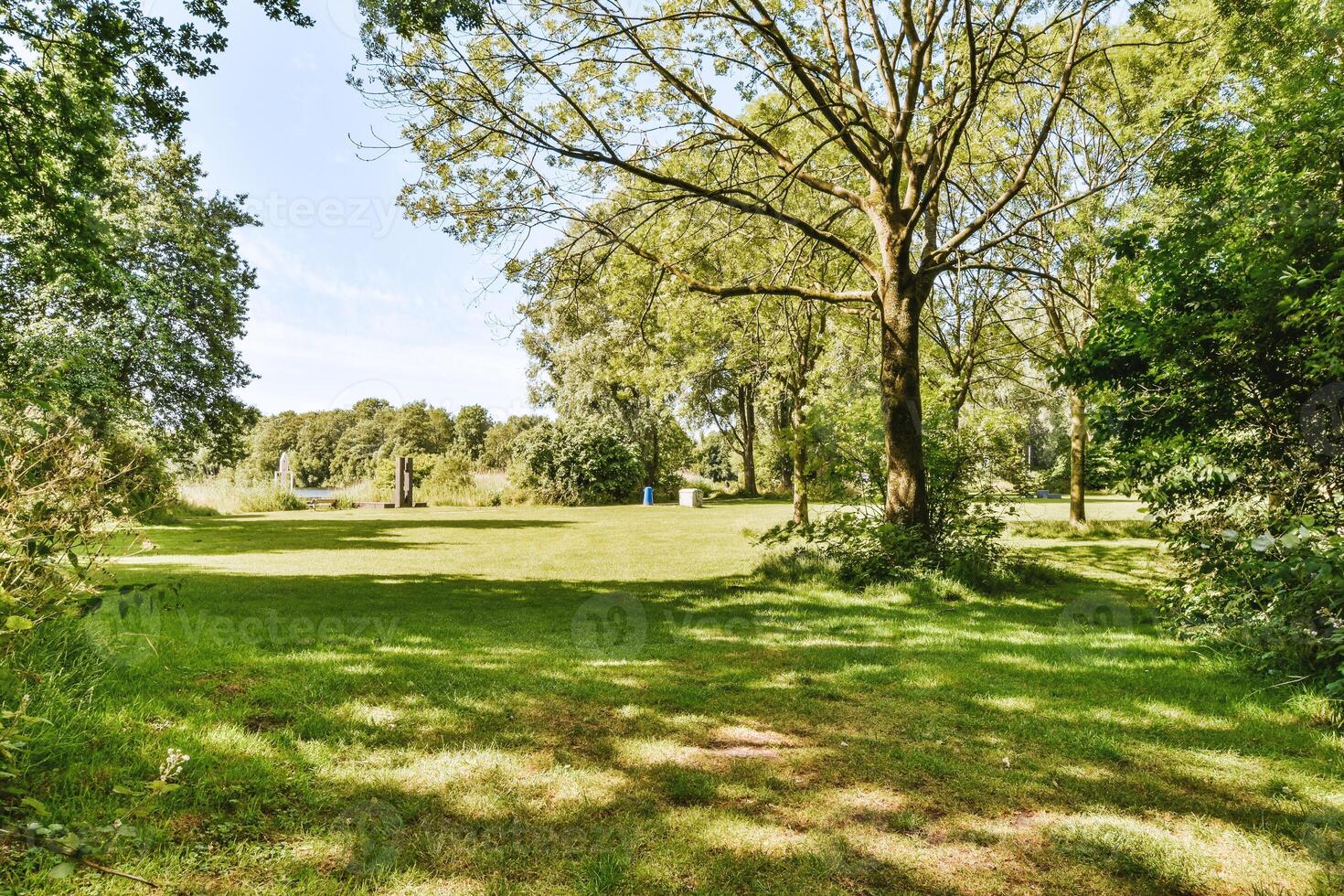 A grassy area with trees and a golf course photo