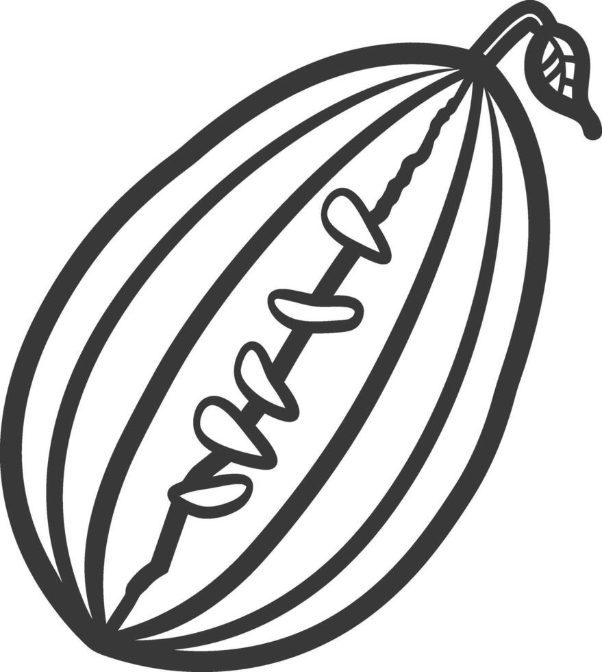 A black and white drawing of a ripe melon vector