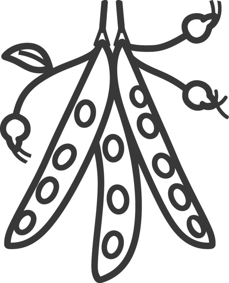 A black and white drawing of a bean pod vector