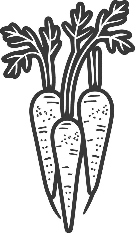Carrots black and white illustration vector