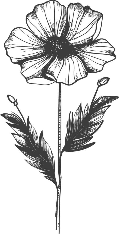 A black and white drawing of a flower vector