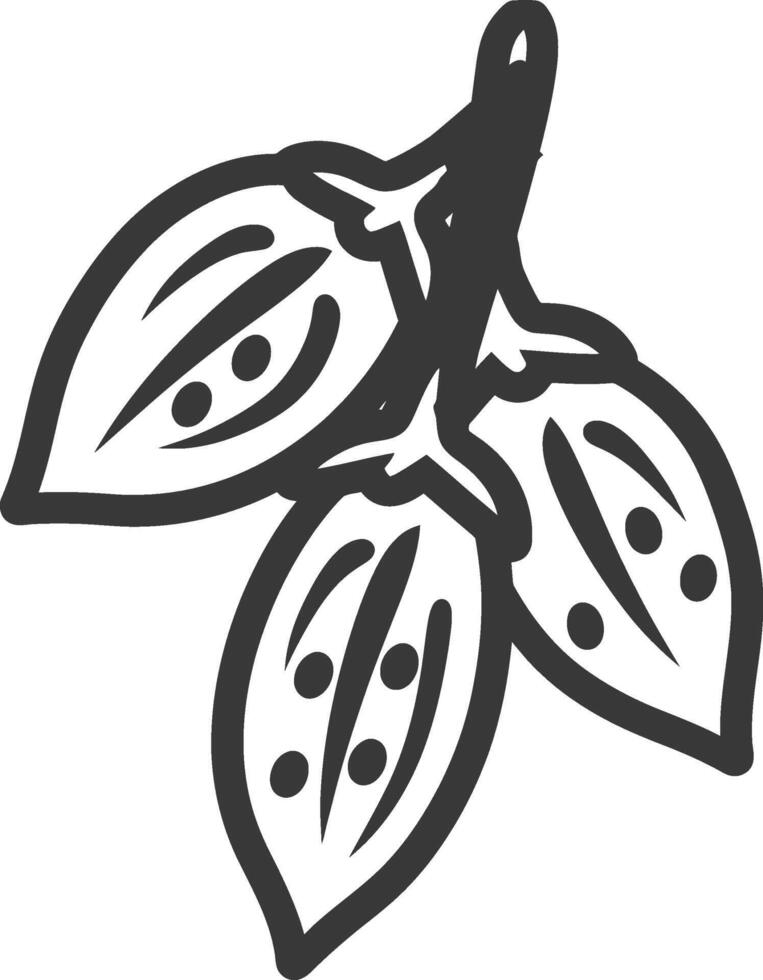 A black and white illustration of a cocoa pod vector