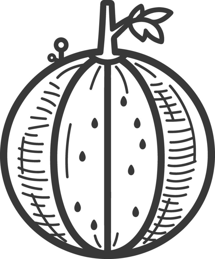 A black and white drawing of a melon vector