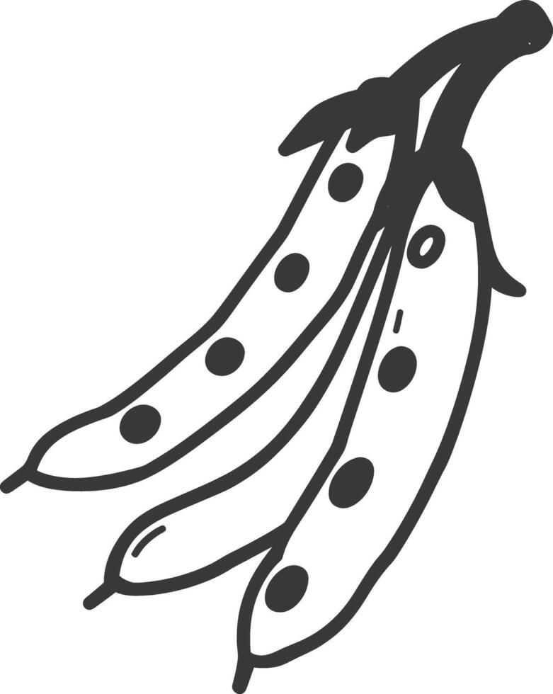 A black and white drawing of a bean pod vector