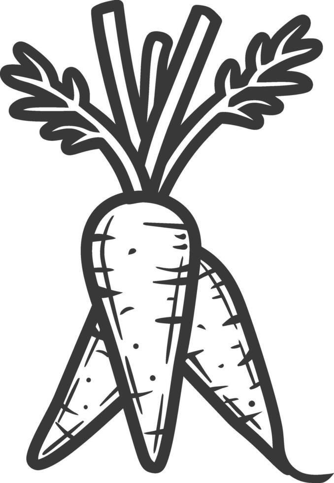 Carrots black and white illustration vector
