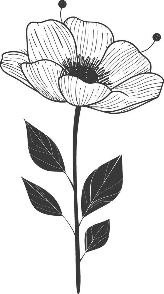 An illustration of a flower with leaves vector