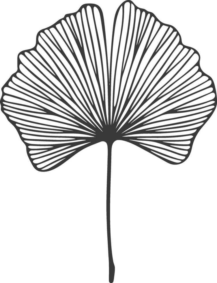Ginkgo leaf silhouette vector