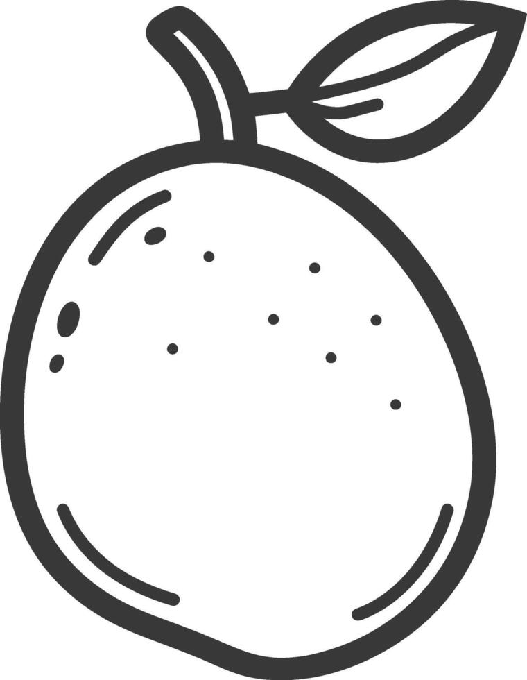 An orange is shown in a line drawing vector