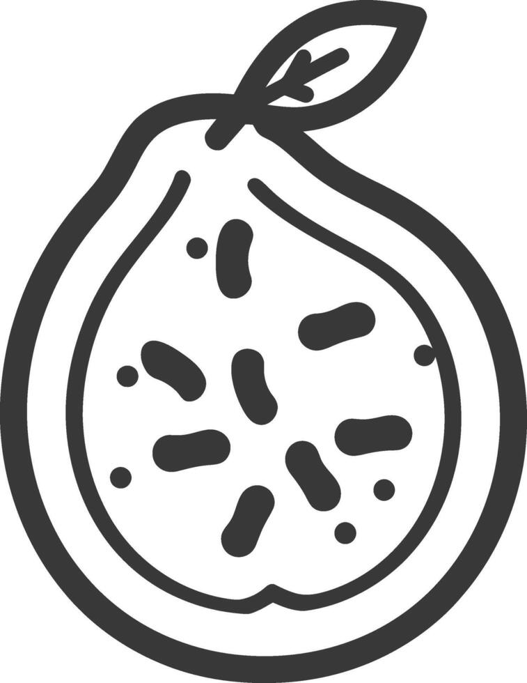 A black and white drawing of a fruit vector