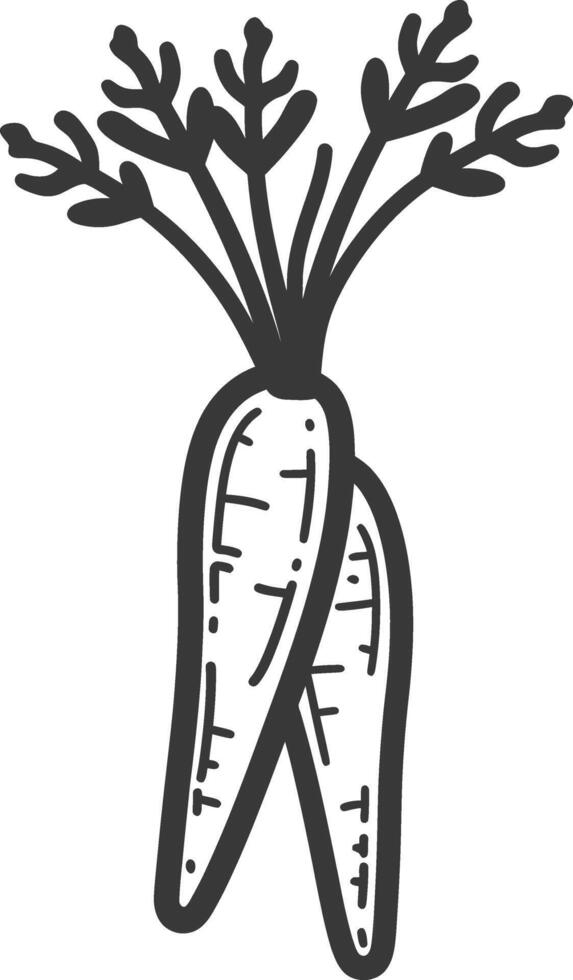 Carrot icon illustration vector