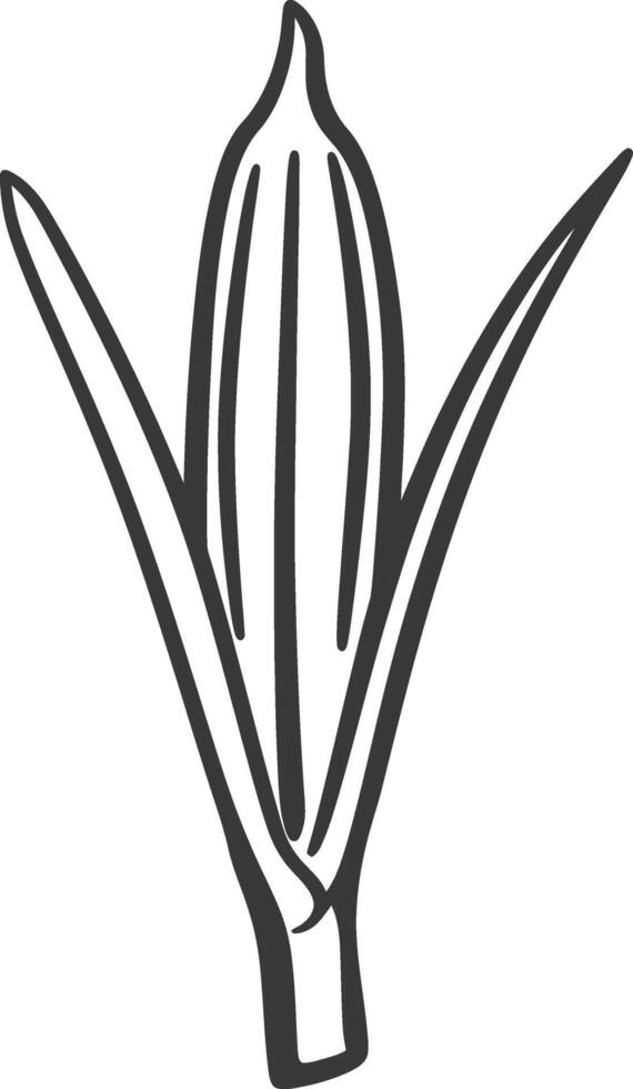 A black and white drawing of a flower vector