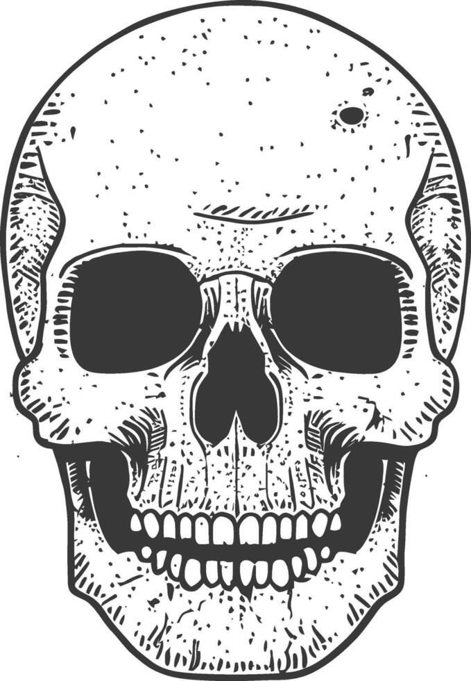 A skull with a black and white drawing vector