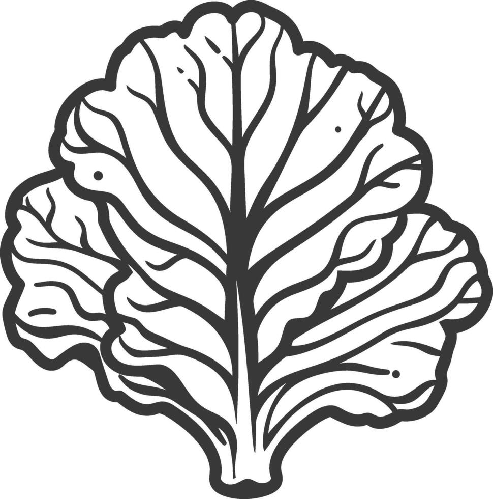 A black and white illustration of a leaf vector