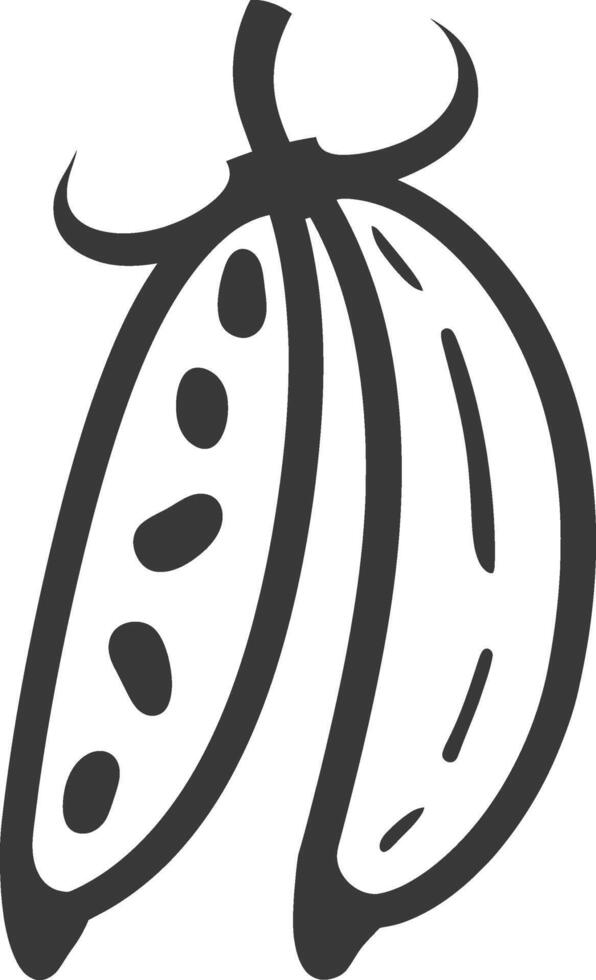 A black and white illustration of a bean pod vector