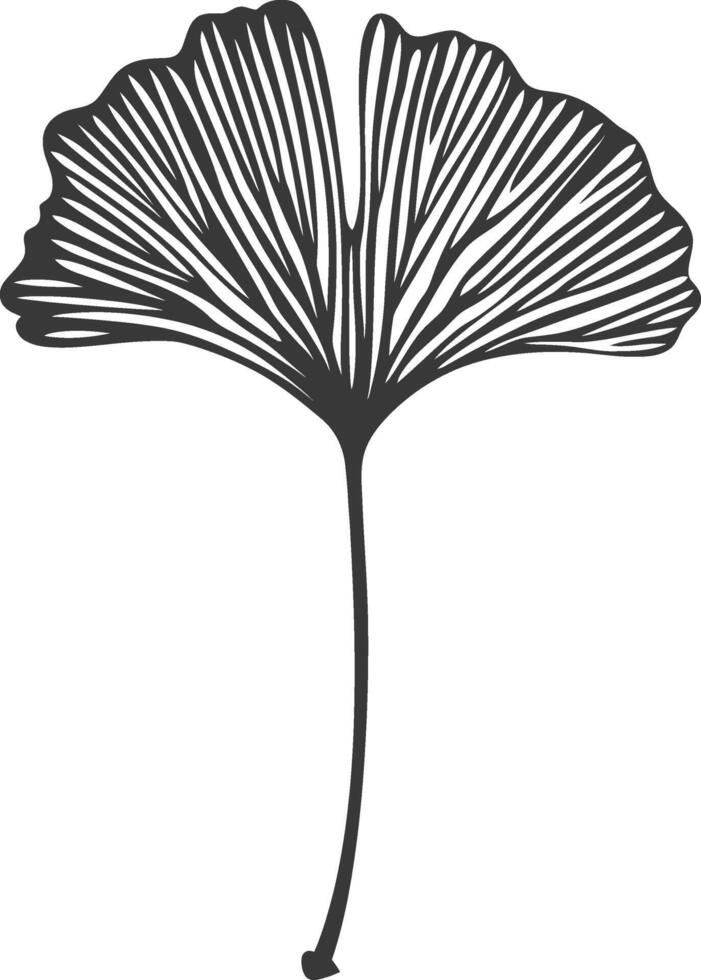 Ginkgo leaf illustration vector