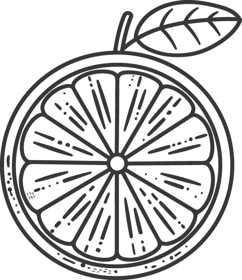 Orange slice with leaf outline illustration vector