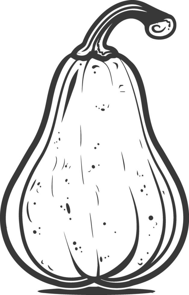 A black and white drawing of a large pumpkin vector