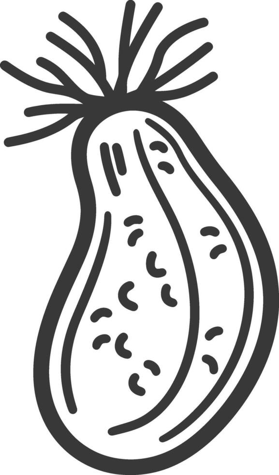 A black and white drawing of a fruit vector