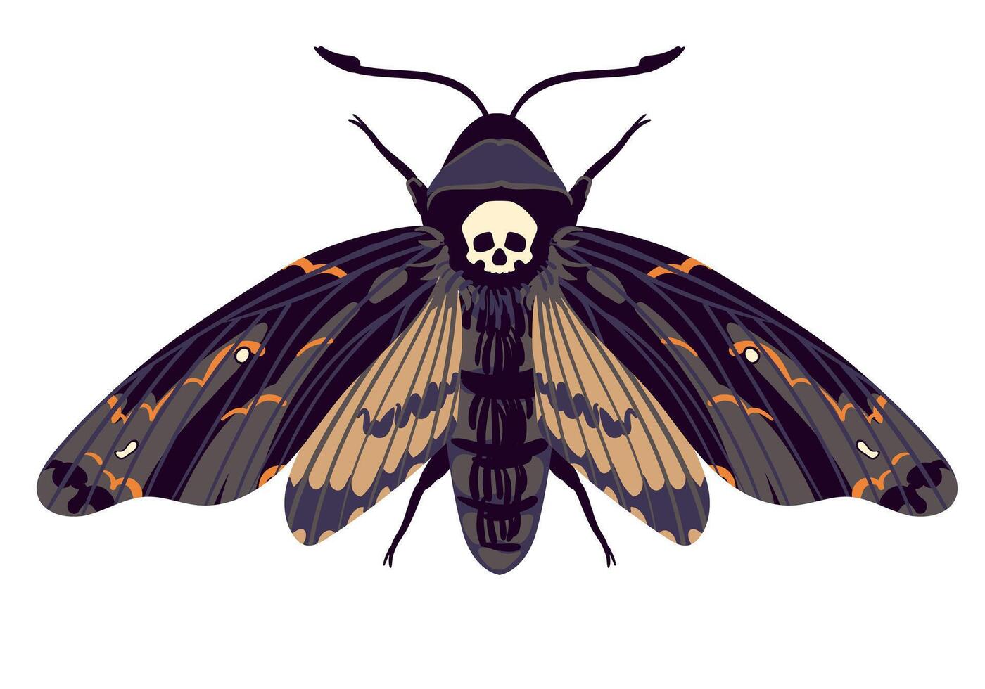 flying butterfly. Hawk moth Dead head . Symbol of mysticism, occultism, magic. Colored moth on a white background. vector