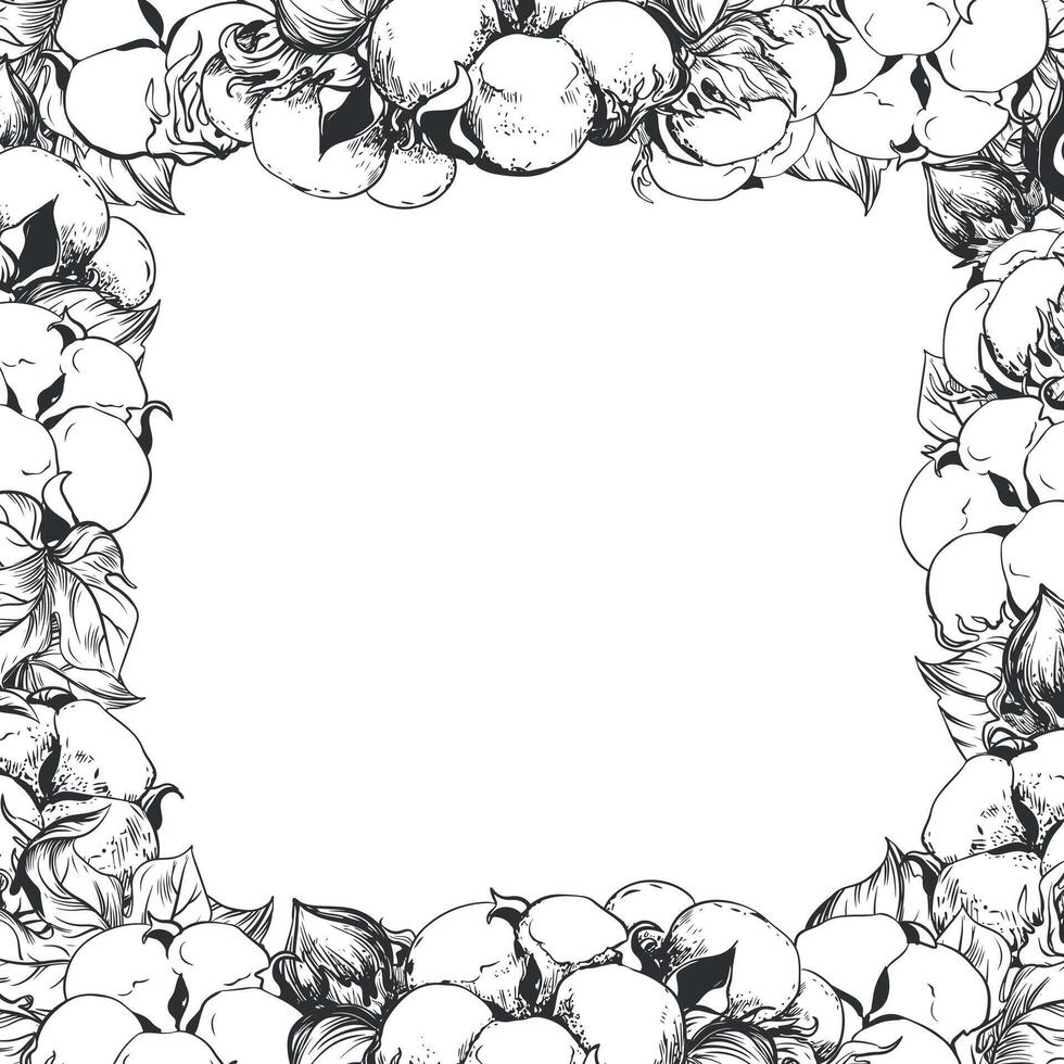 Square frame with cotton flowers and space for text. Linear sketch of white cotton balls, leaves and branches. retro ink illustration. Design for label, tag or wedding invitation. vector