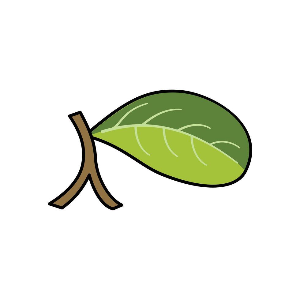 Green leaf on white background. Illustration in doodle style. Green leaves on a white background. plant illustration in flat design. natural design elements. plant ornament vector