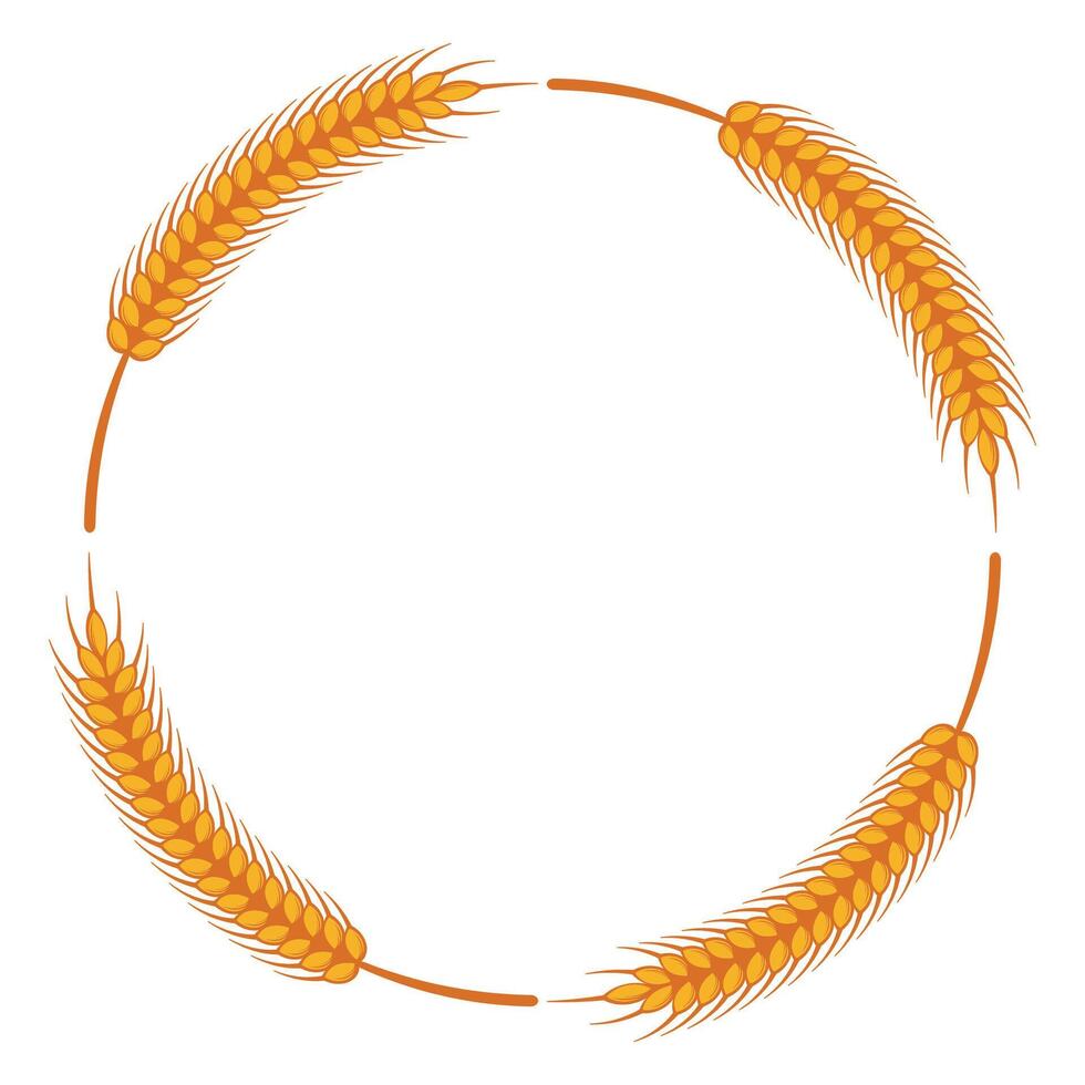 4 wheat stalks that form a circle frame vector