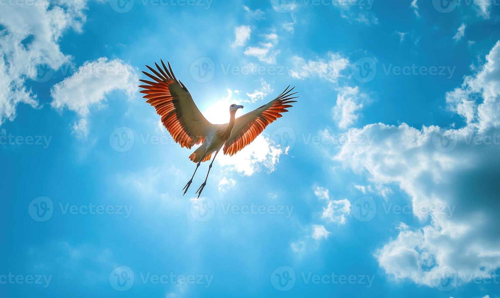 A stork flying gracefully, soft light shining on its wings photo