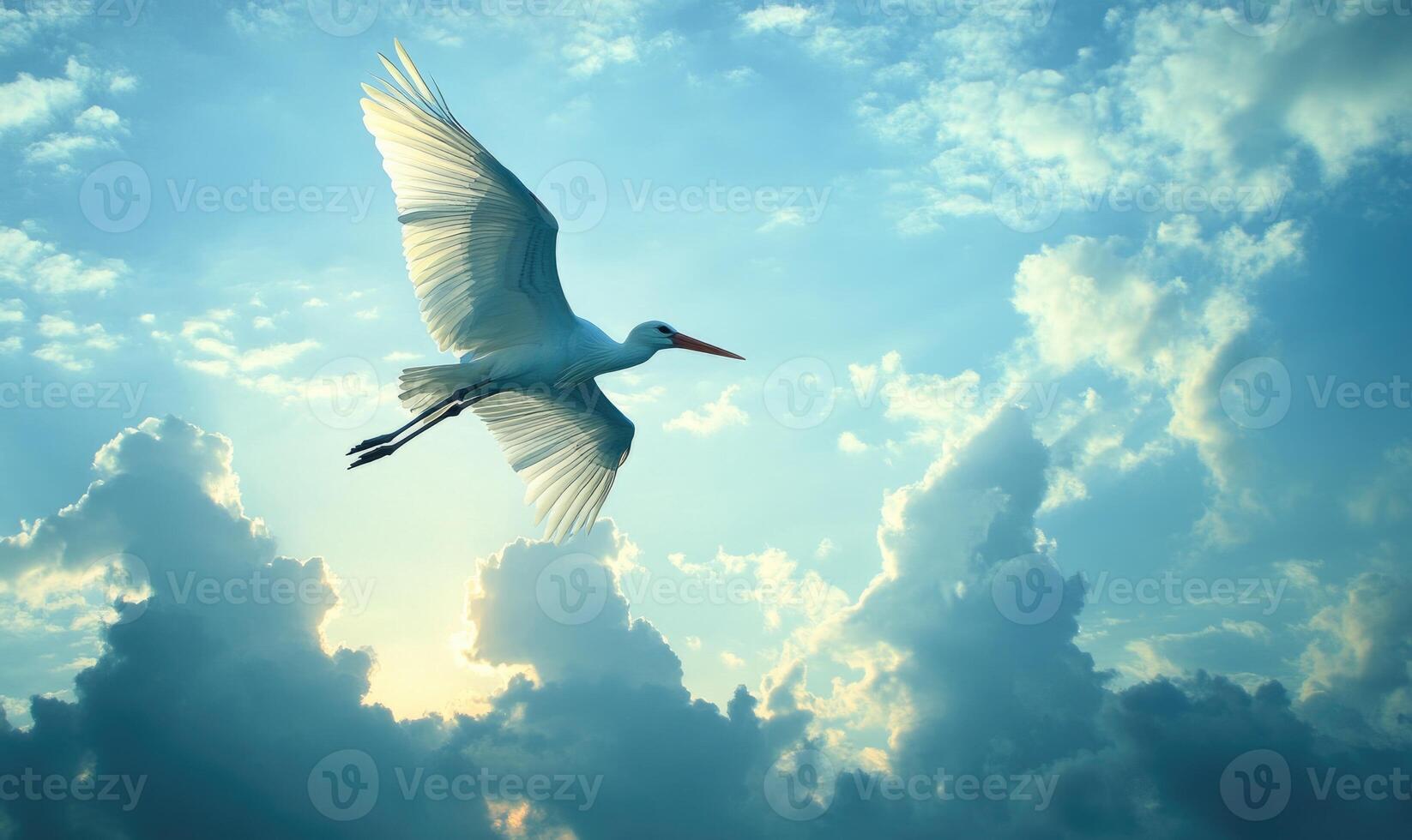 A stork flying gracefully, soft light shining on its wings photo