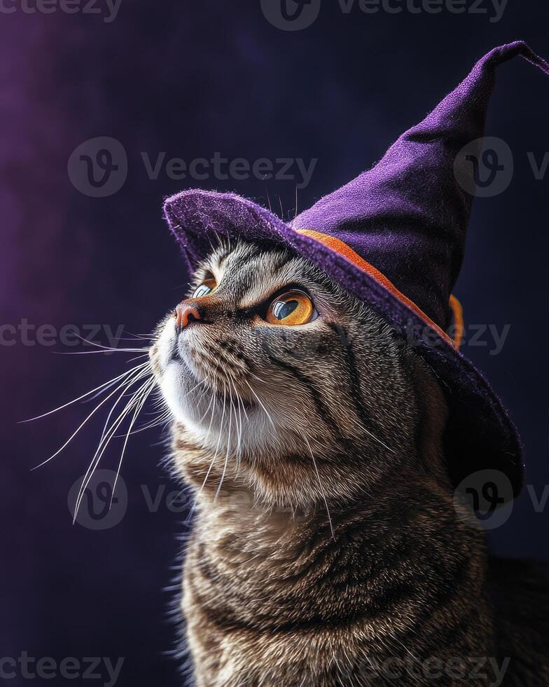 A tabby cat with a curious expression, wearing a tilted witch hat photo