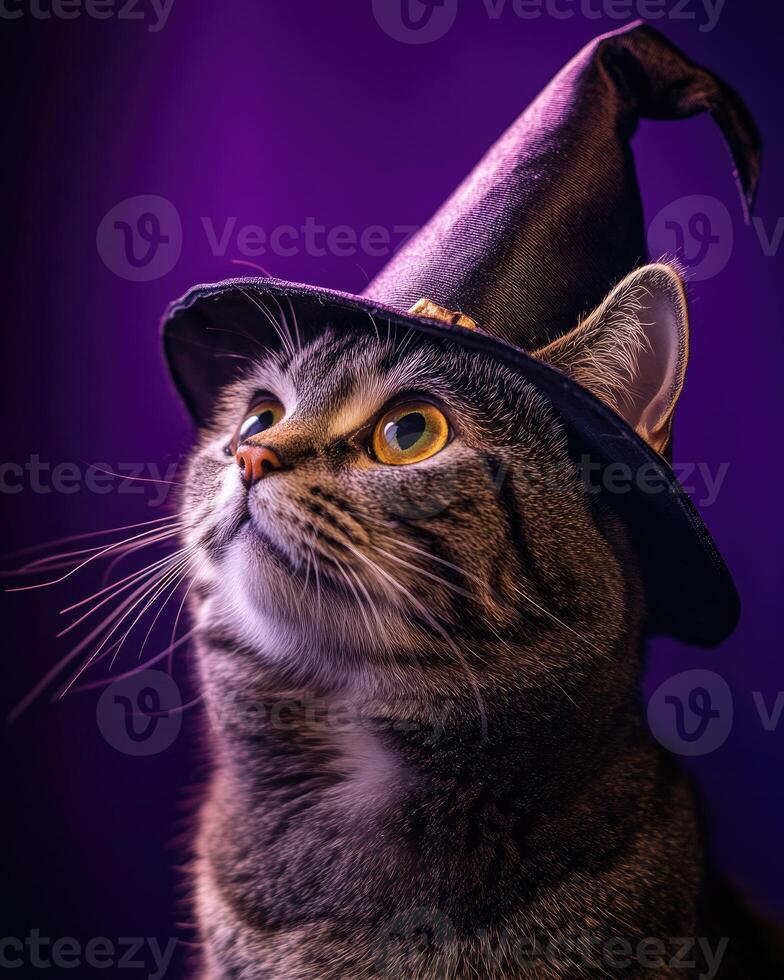 A tabby cat with a curious expression, wearing a tilted witch hat photo