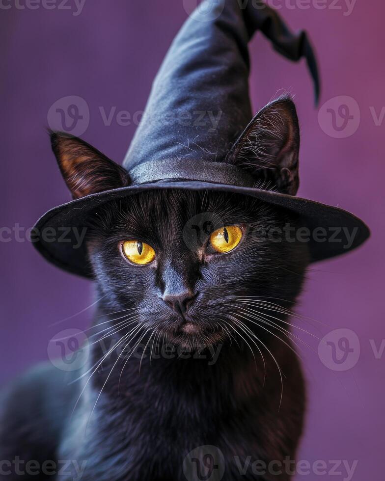 A slender black cat with sharp yellow eyes, wearing a tall pointed witch's hat photo
