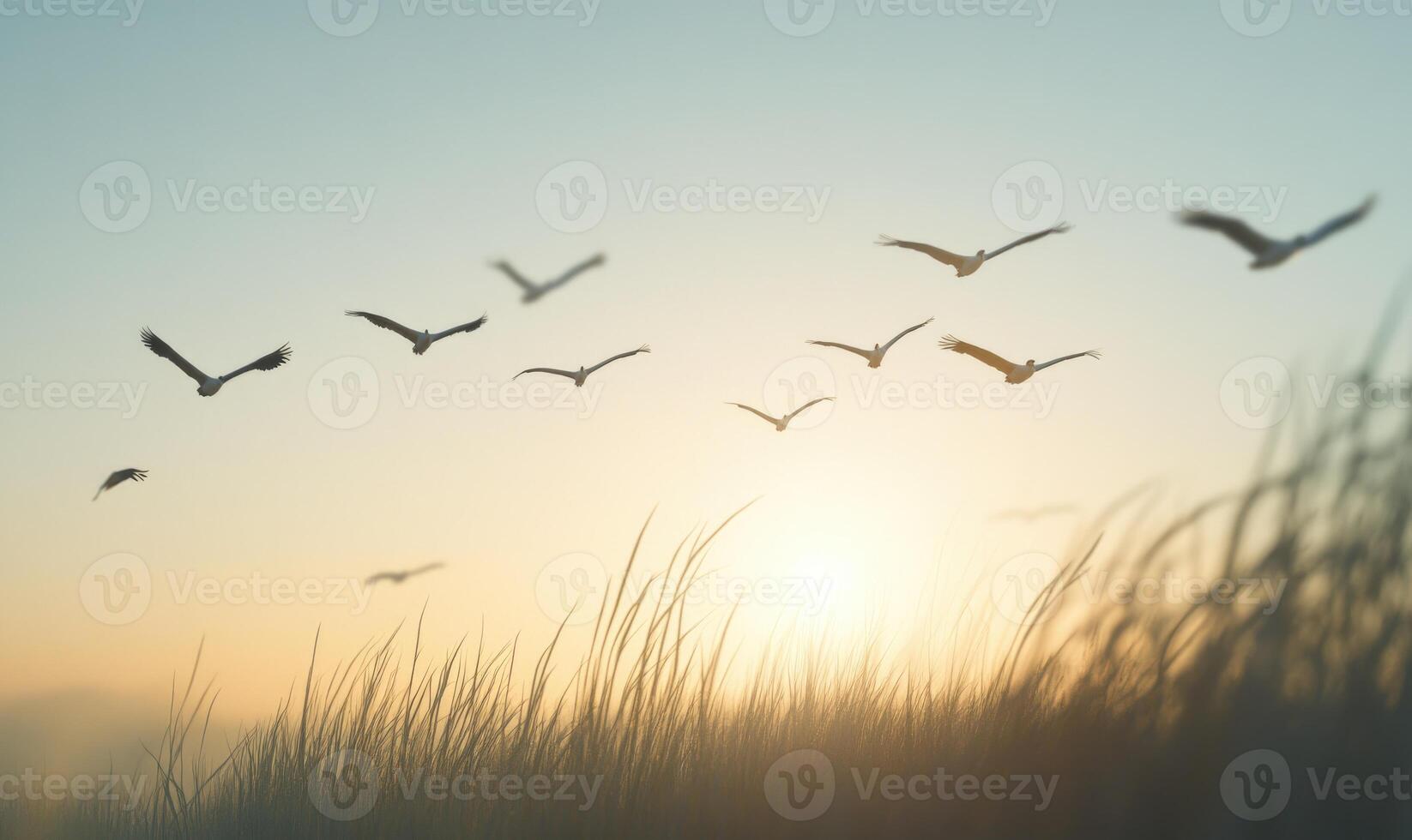 A flock of storks in the distance, flying gracefully across the sky photo