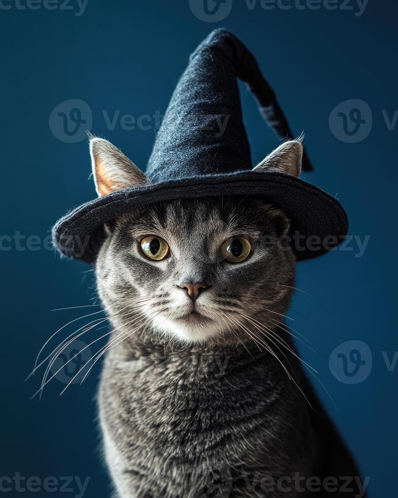 A grey tabby cat with a serious expression, wearing a slightly oversized witch's hat photo