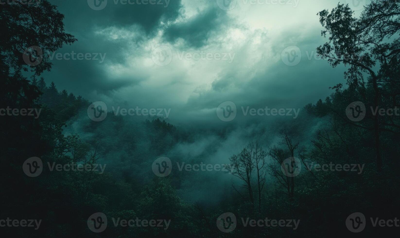 Dark and brooding clouds gathering over a dense forest photo