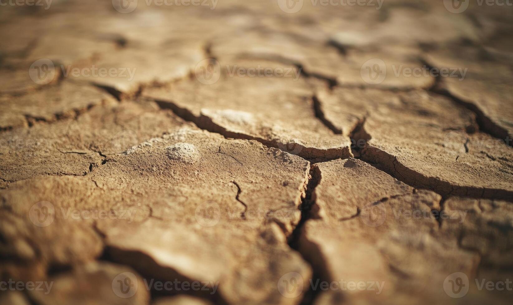 Close-up of barren, dry ground, deep cracks spreading across photo