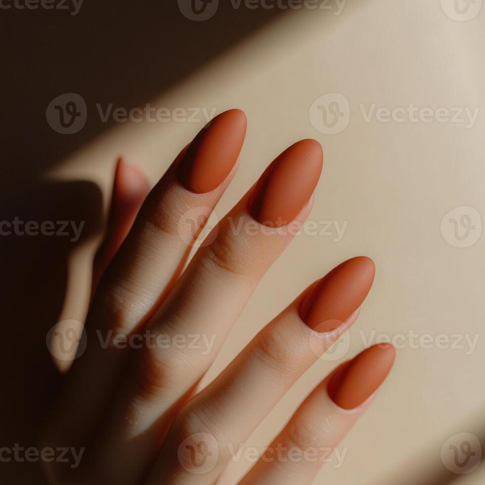 Warm terracotta nails with a matte finish photo