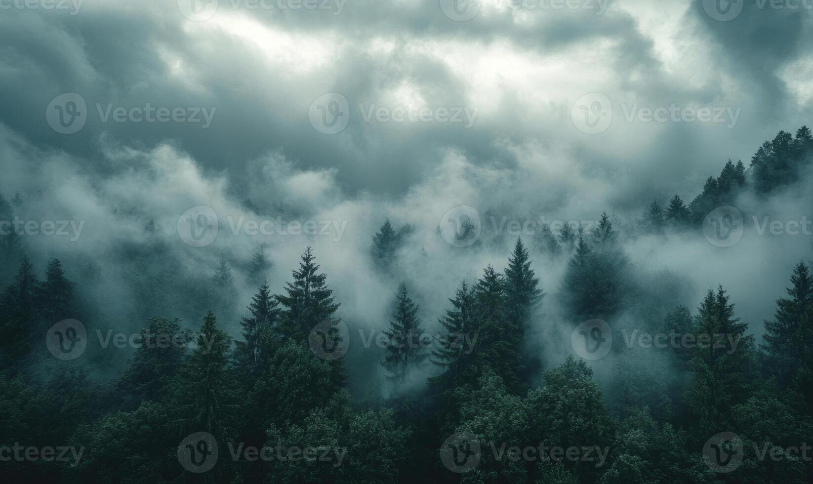Thick, gray clouds swirling above a dense forest photo