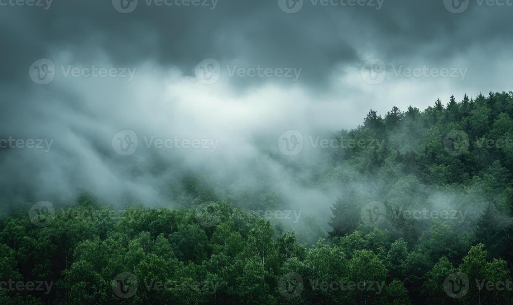 Thick, gray clouds swirling above a dense forest photo