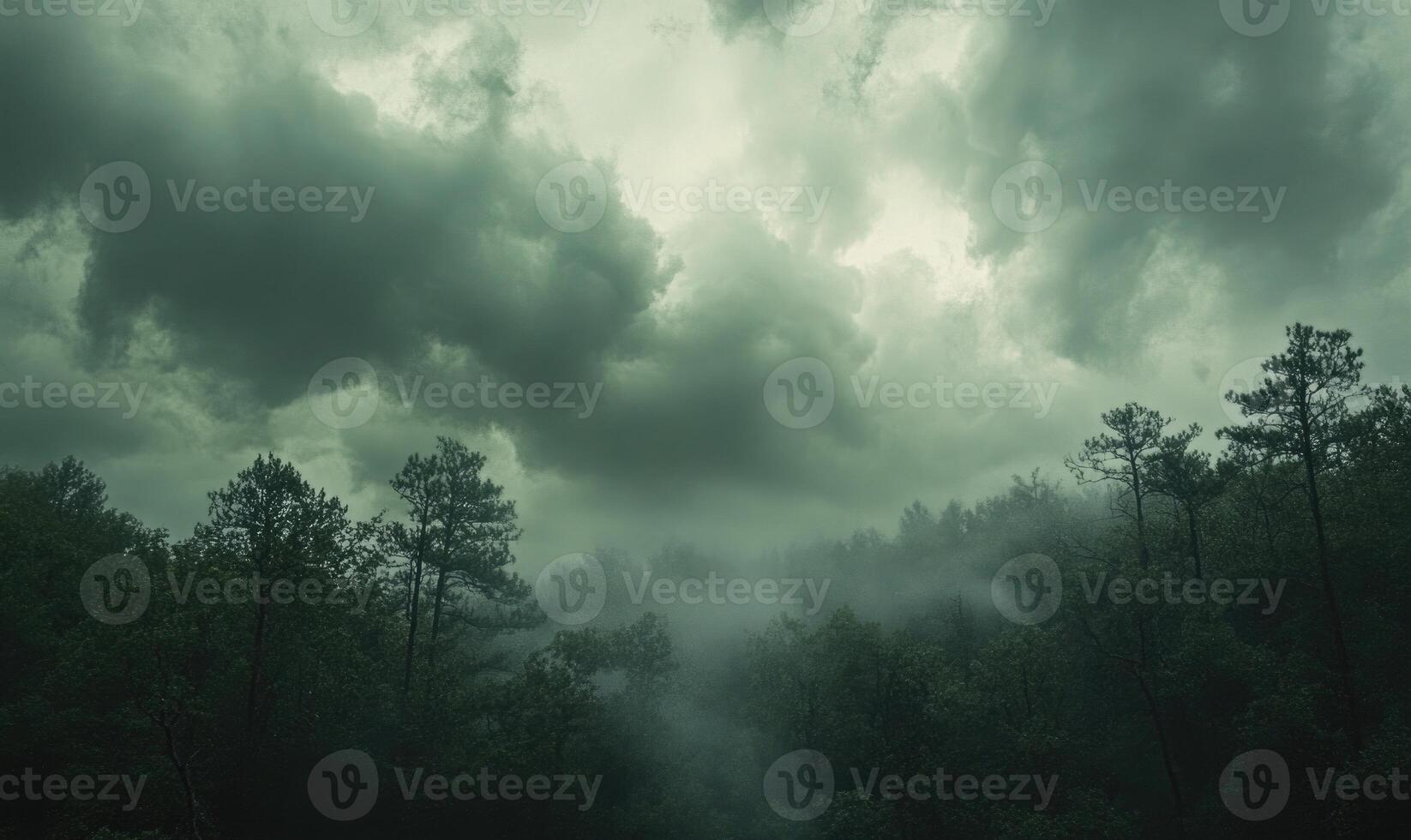 Thick, gray clouds moving slowly across the sky photo