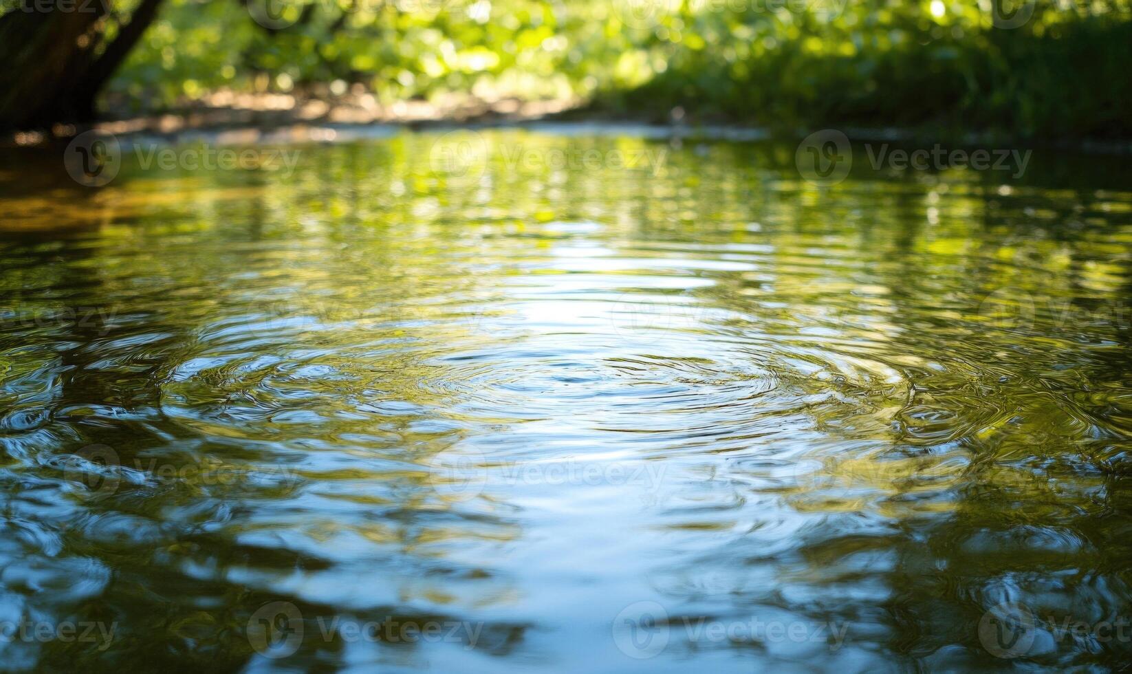 Still pond with light ripples, sunlight casting gentle reflections photo