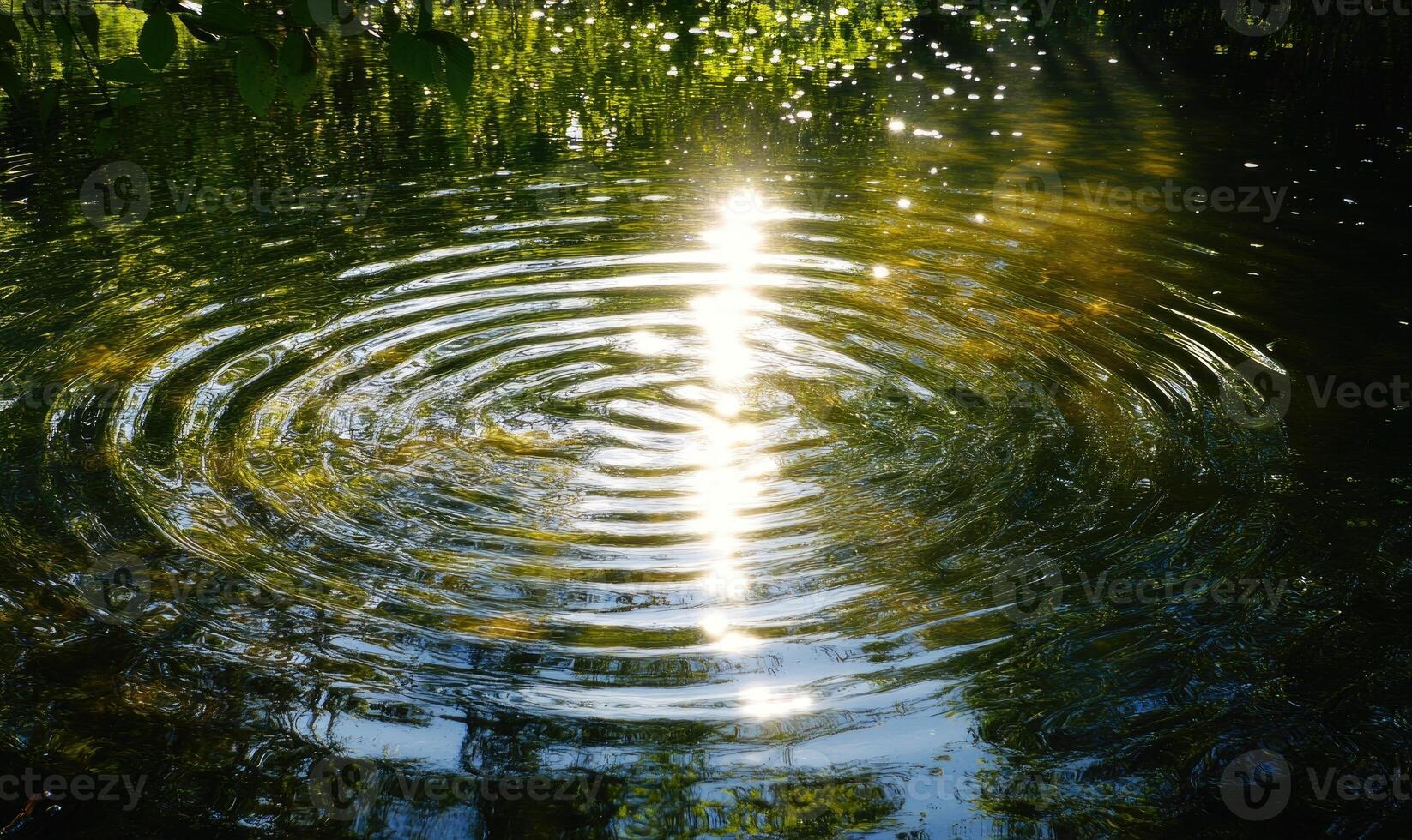 Ripples on a calm river, sunlight casting shimmering reflections photo