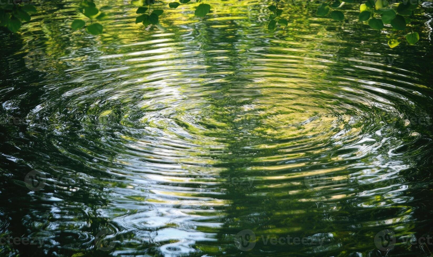 Ripples on a calm river, sunlight casting shimmering reflections photo