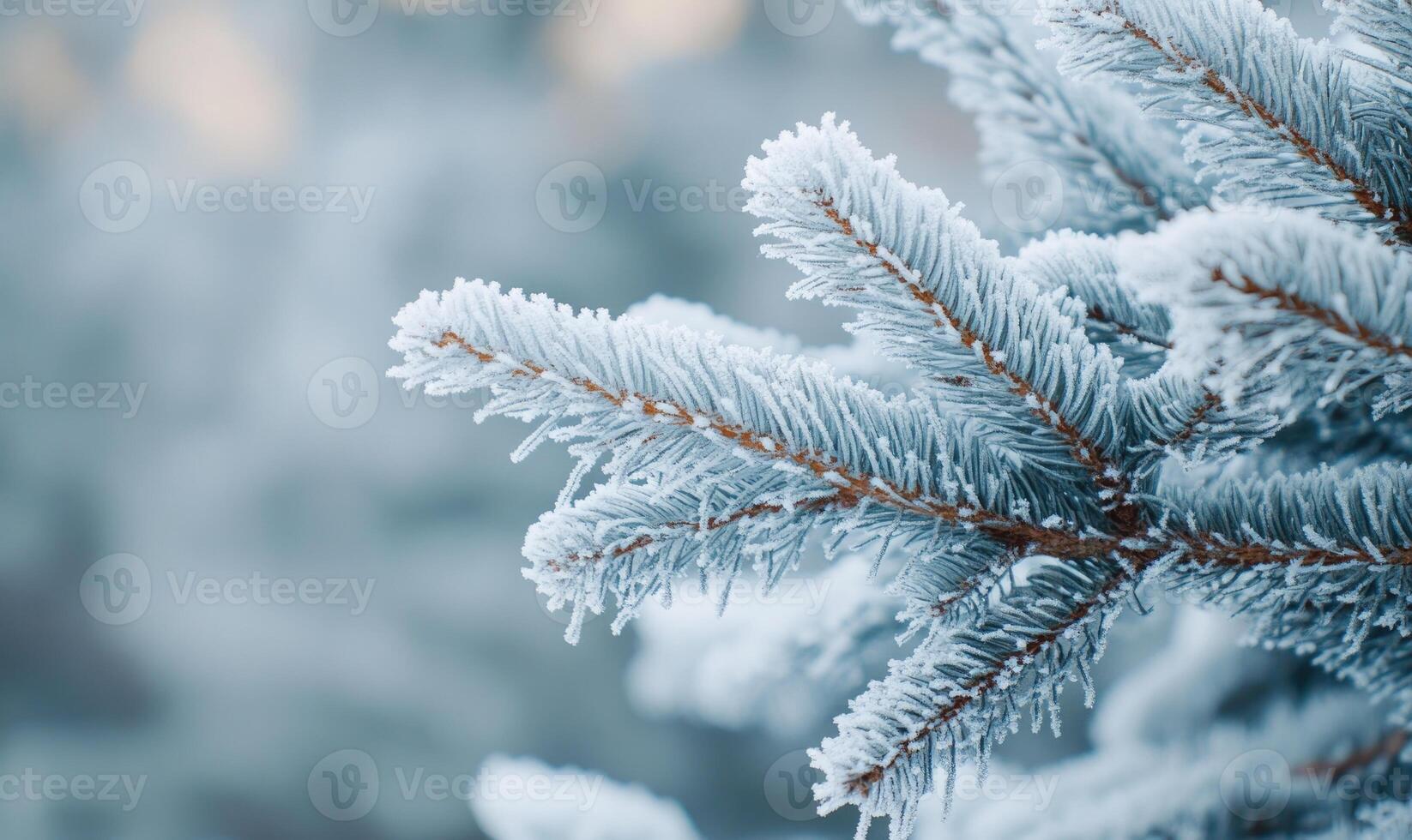 Snow resting on coniferous branches, frosty and cold photo