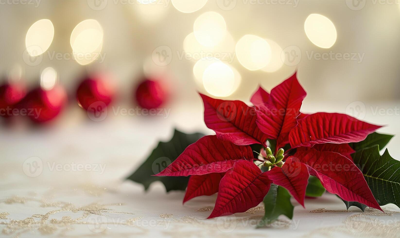 A red poinsettia flower sits on a table with a white background photo